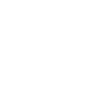 Internationalen Führerschein bestellen