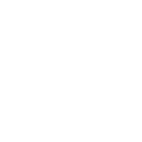 Strafregisterauszug bestellen